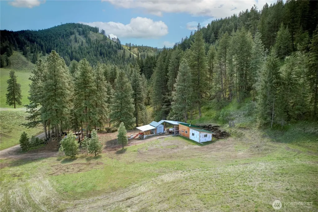 102 Elbow Canyon Road Twisp WA 98856