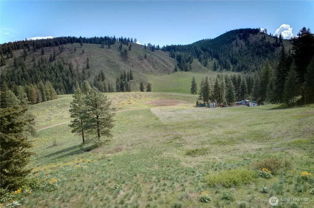 102 Elbow Canyon Road Twisp WA 98856
