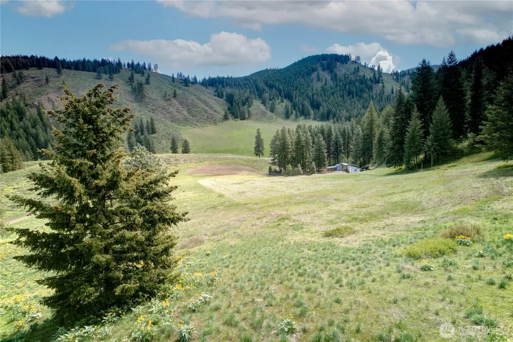 102 Elbow Canyon Road Twisp WA 98856