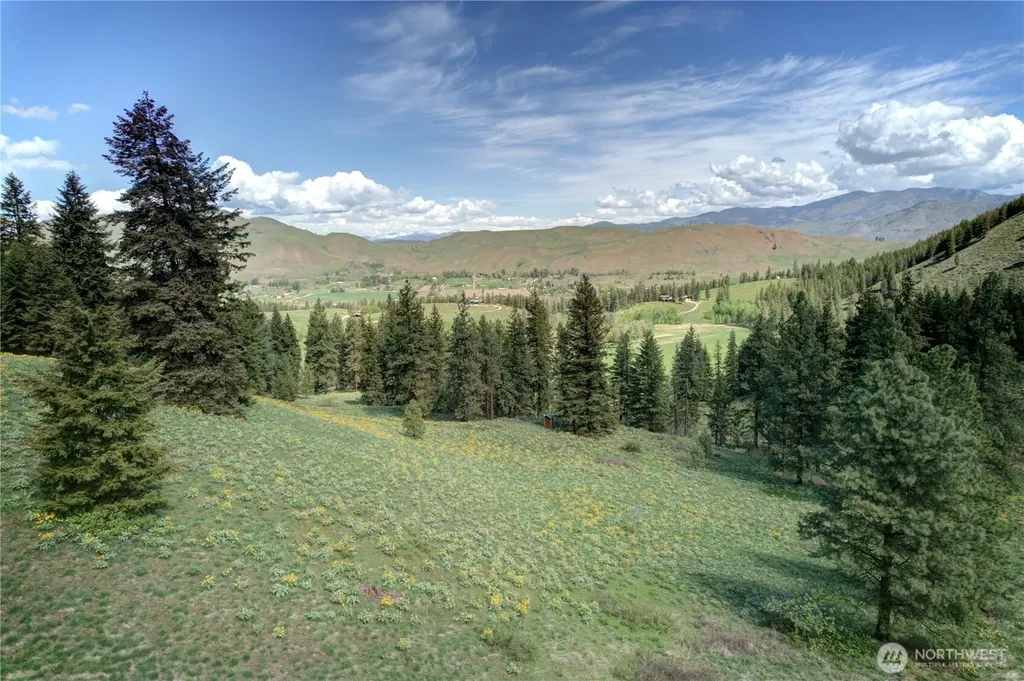 102 Elbow Canyon Road Twisp WA 98856