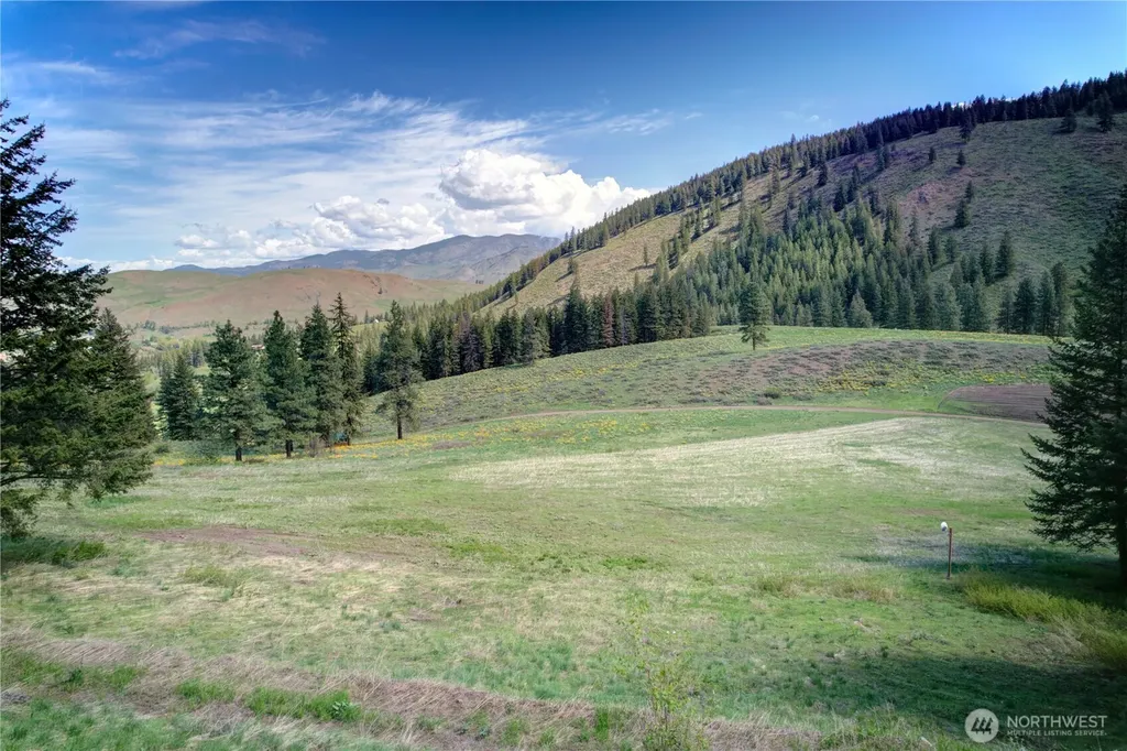 102 Elbow Canyon Road Twisp WA 98856