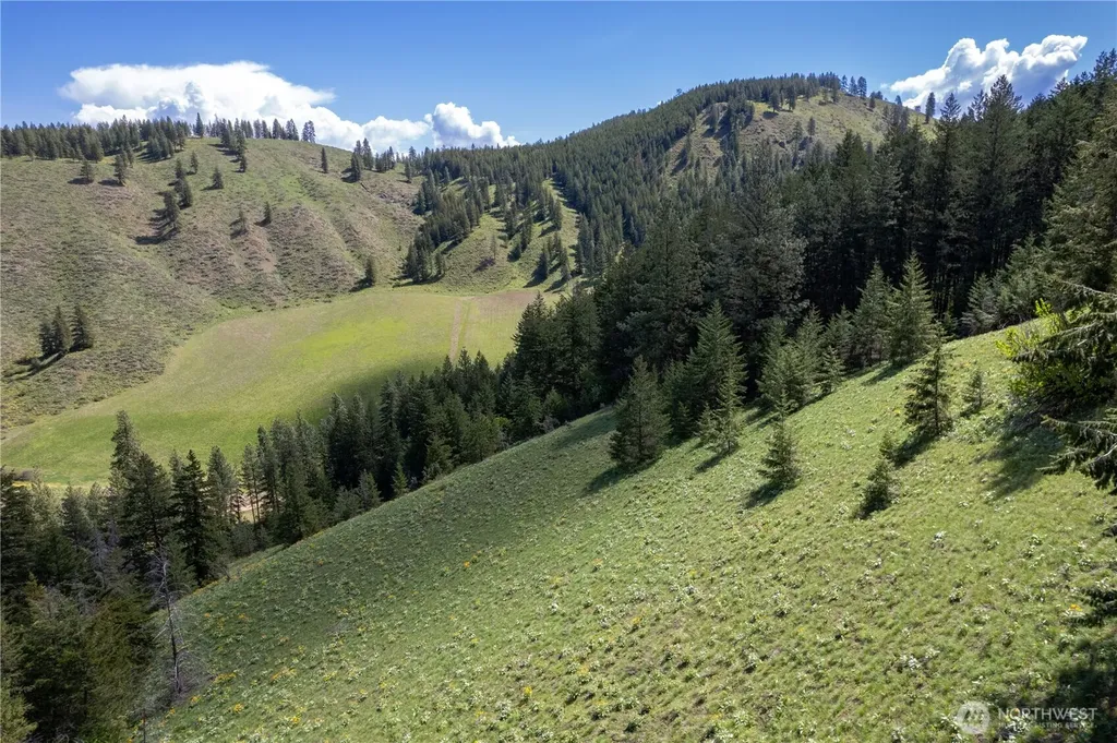 102 Elbow Canyon Road Twisp WA 98856