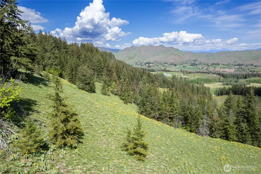 102 Elbow Canyon Road Twisp WA 98856