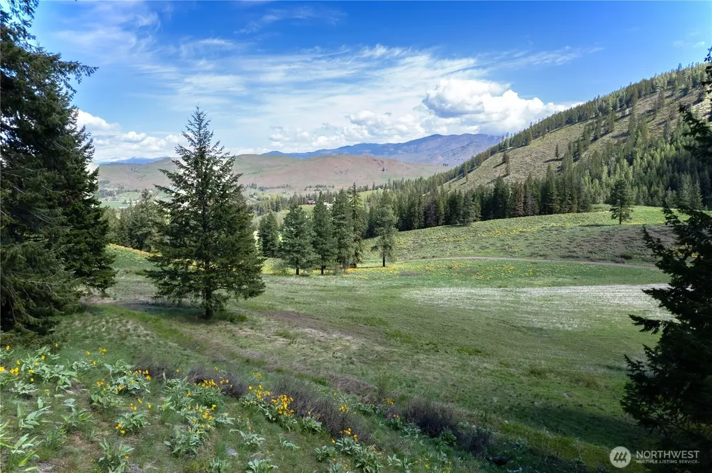 102 Elbow Canyon Road Twisp WA 98856