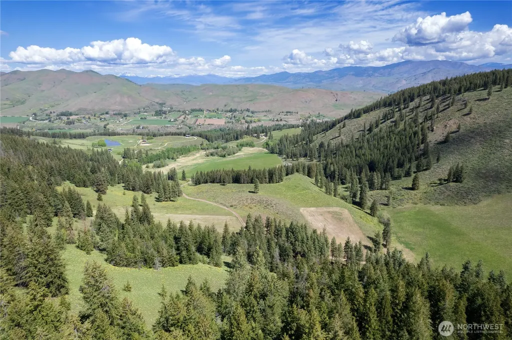 102 Elbow Canyon Road Twisp WA 98856
