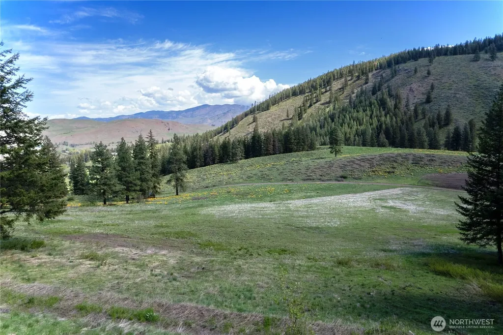 102 Elbow Canyon Road Twisp WA 98856