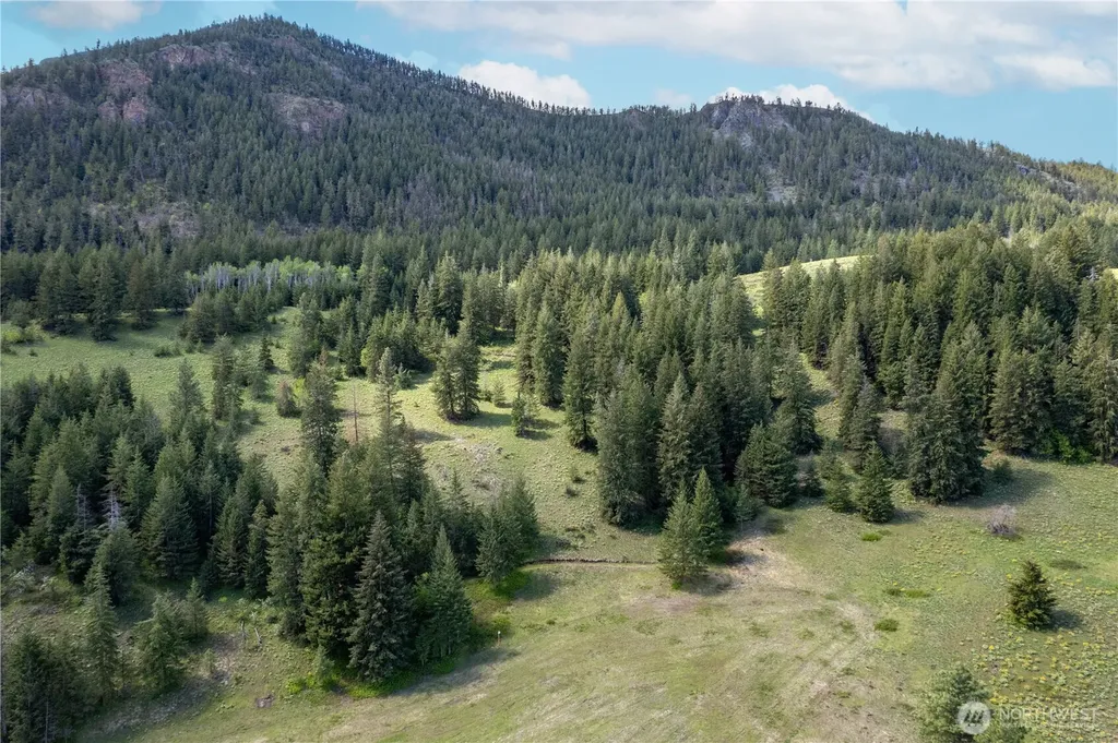 102 Elbow Canyon Road Twisp WA 98856