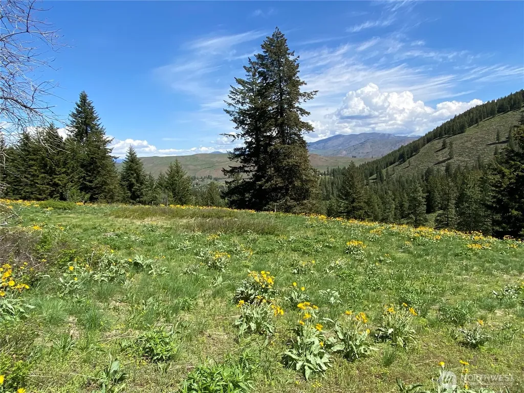 102 Elbow Canyon Road Twisp WA 98856