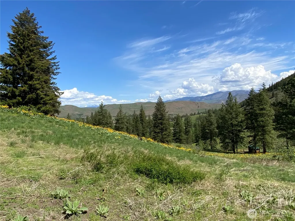 102 Elbow Canyon Road Twisp WA 98856