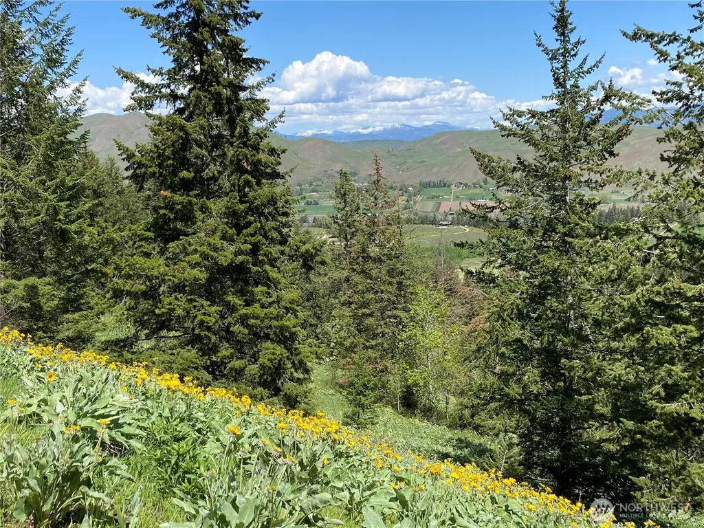 102 Elbow Canyon Road Twisp WA 98856