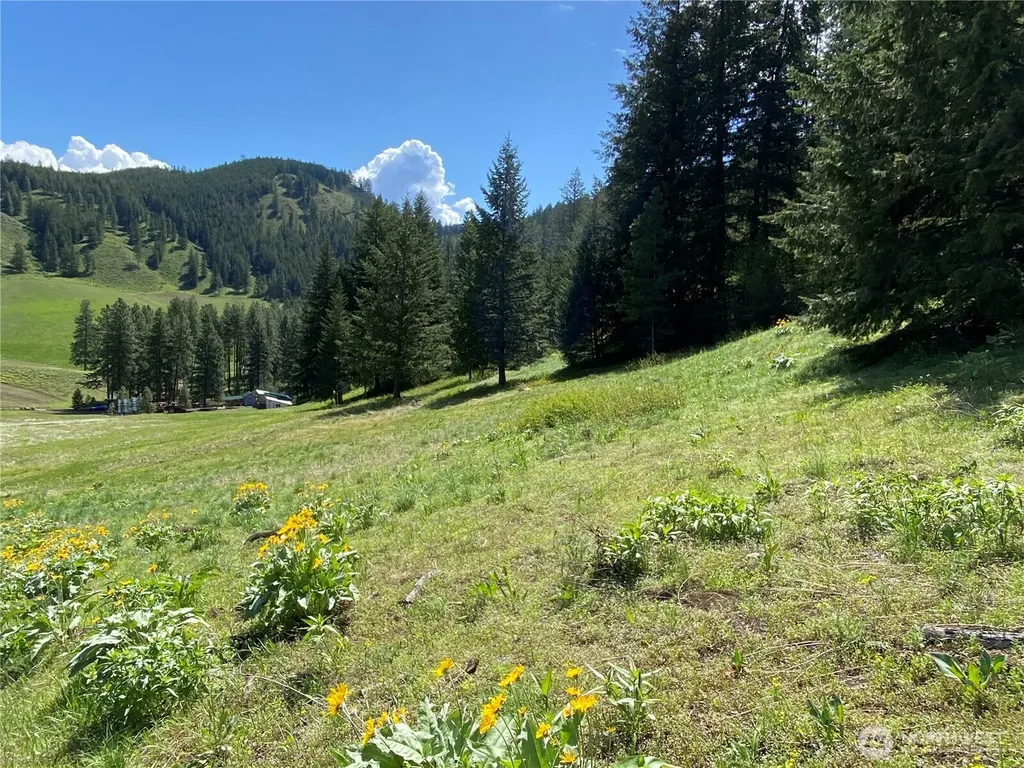 102 Elbow Canyon Road Twisp WA 98856