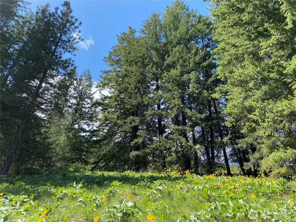 102 Elbow Canyon Road Twisp WA 98856
