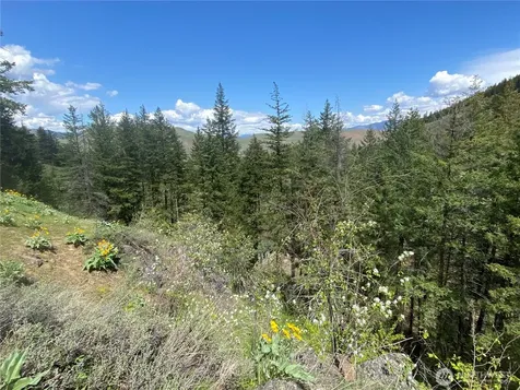 102 Elbow Canyon Road Twisp WA 98856