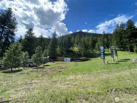 102 Elbow Canyon Road Twisp WA 98856