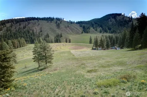 102 Elbow Canyon Road Twisp WA 98856