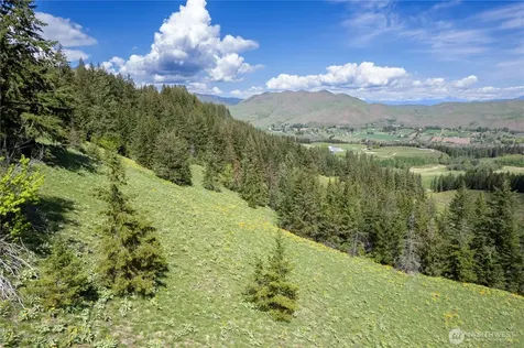102 Elbow Canyon Road Twisp WA 98856