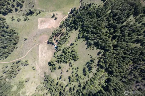 102 Elbow Canyon Road Twisp WA 98856
