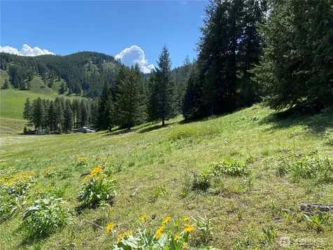 102 Elbow Canyon Road Twisp WA 98856