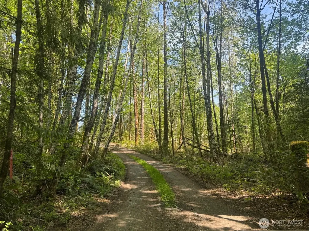 151 W Clark Road Shelton WA 98584