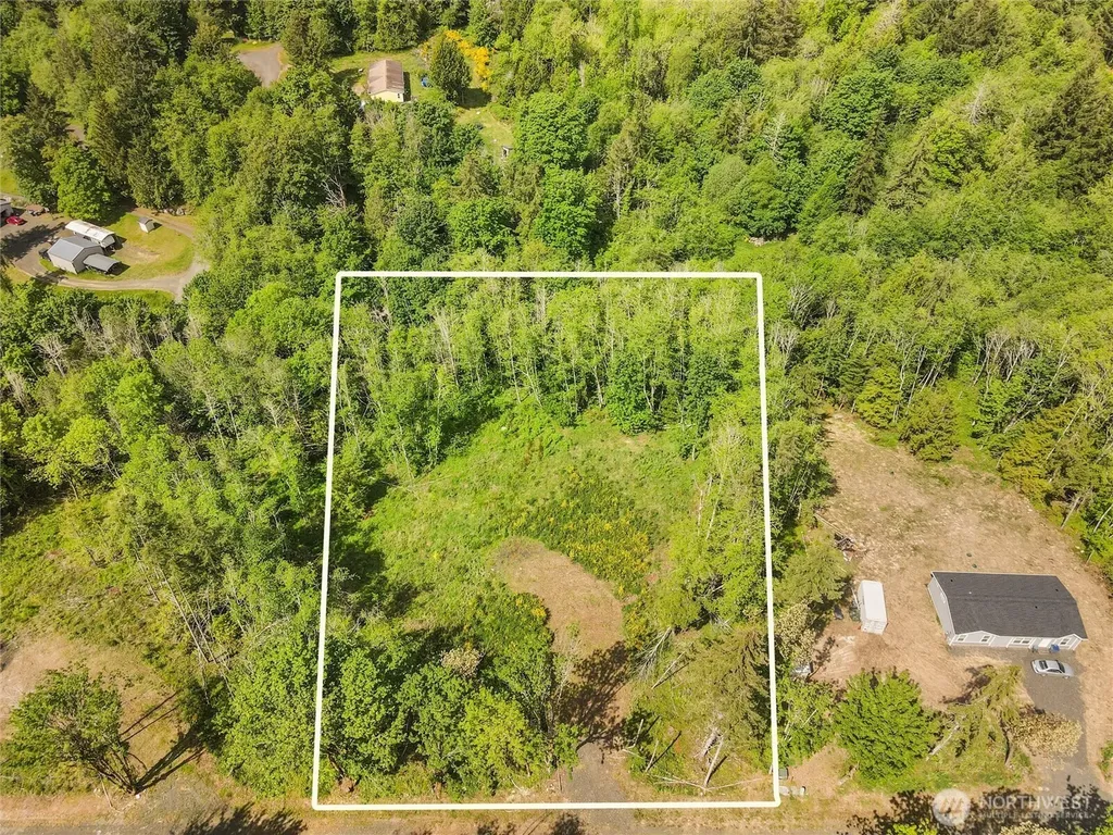80 E Cascara Cove Lane Shelton WA 98584
