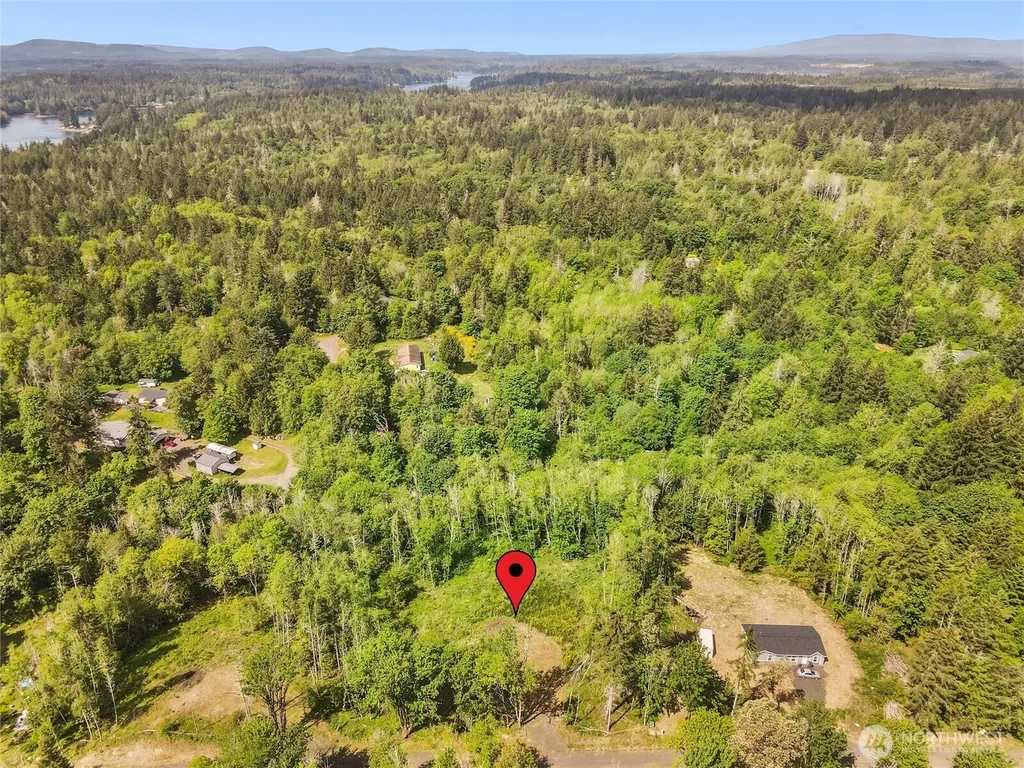 80 E Cascara Cove Lane Shelton WA 98584