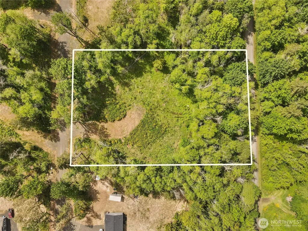 80 E Cascara Cove Lane Shelton WA 98584