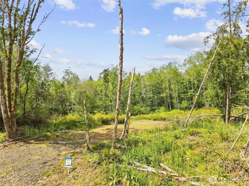 80 E Cascara Cove Lane Shelton WA 98584