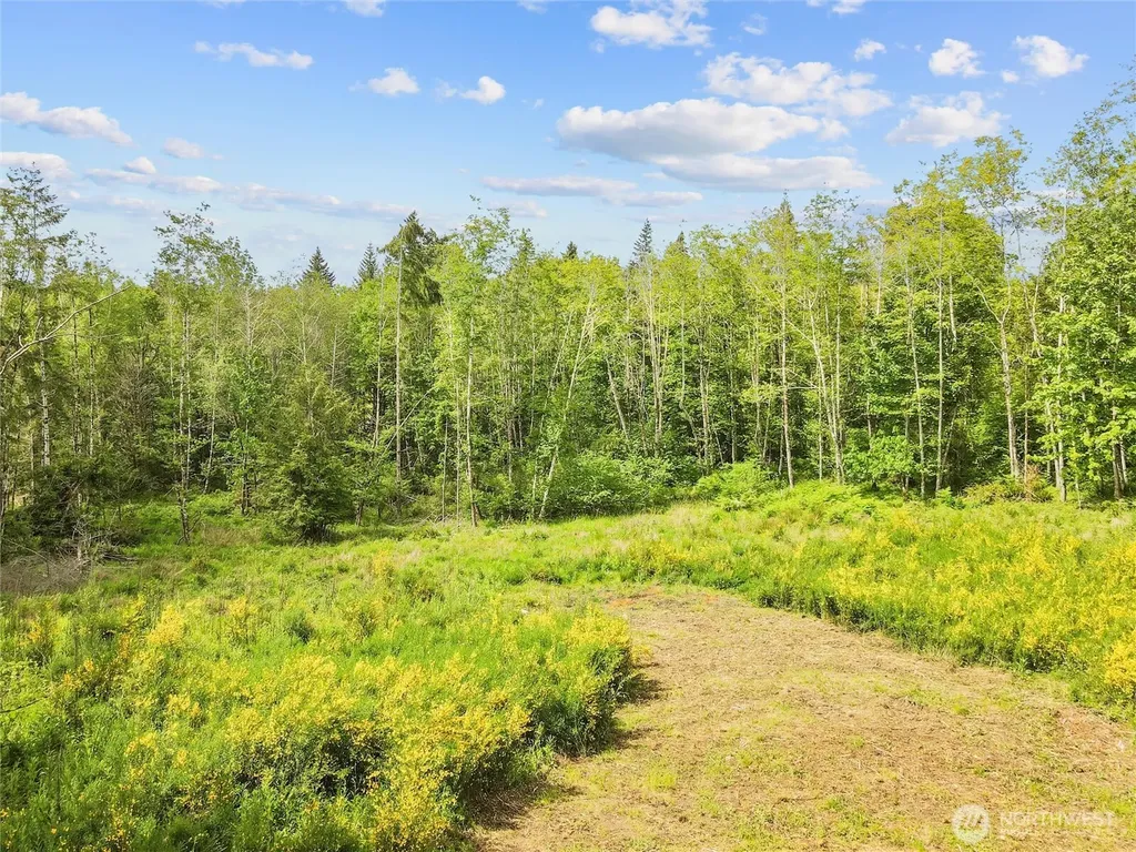 80 E Cascara Cove Lane Shelton WA 98584