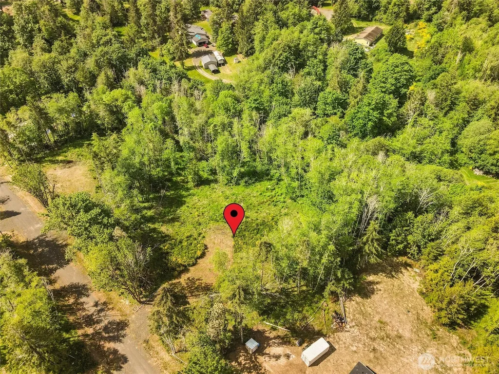 80 E Cascara Cove Lane Shelton WA 98584