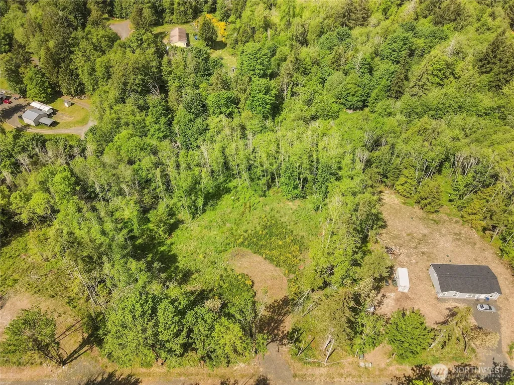 80 E Cascara Cove Lane Shelton WA 98584