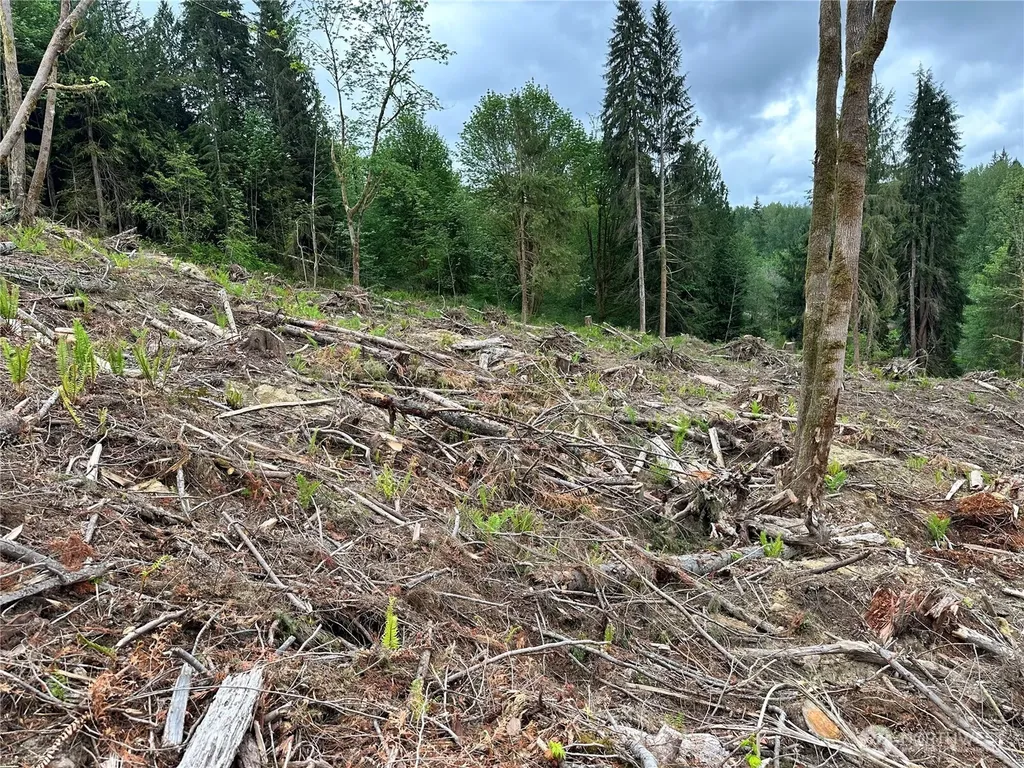 0 S Carpenter Road Snohomish WA 98280