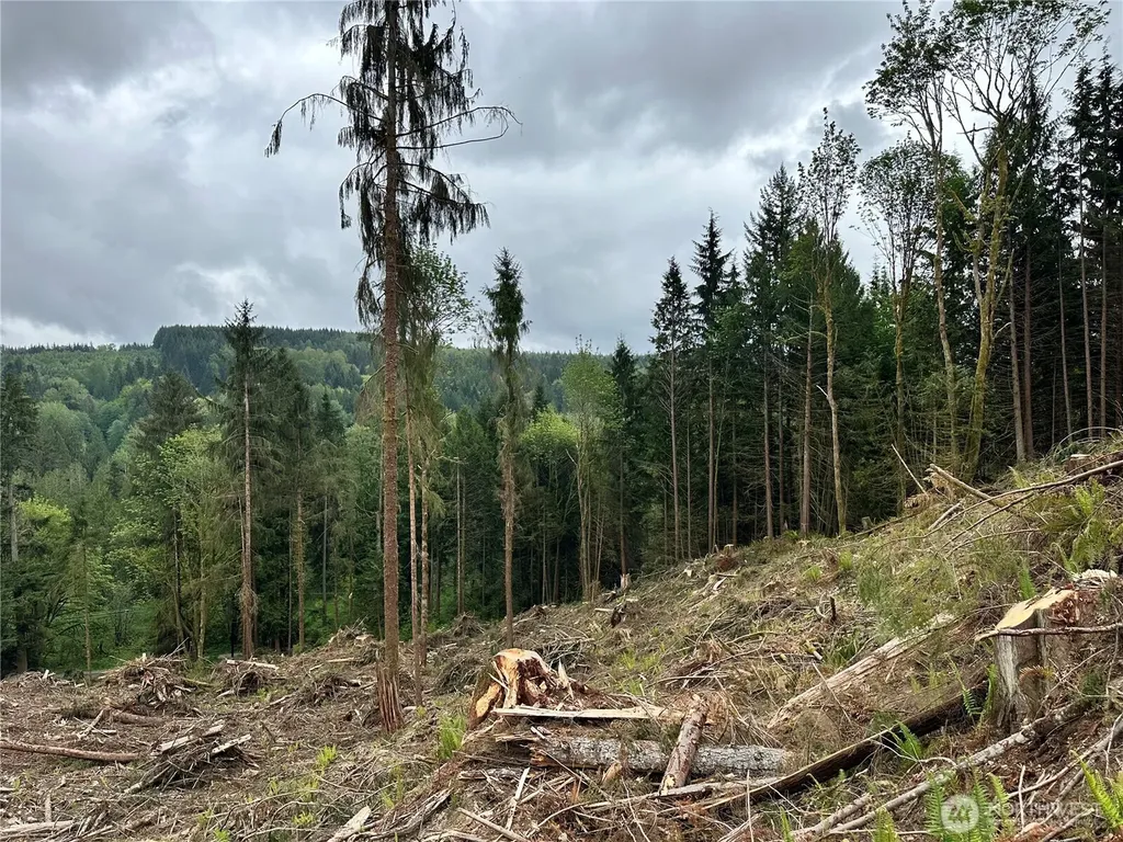 0 S Carpenter Road Snohomish WA 98280