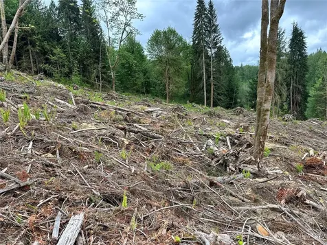 0 S Carpenter Road Snohomish WA 98280