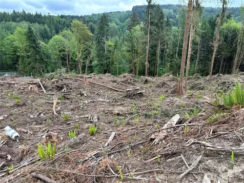 0 S Carpenter Road Snohomish WA 98280