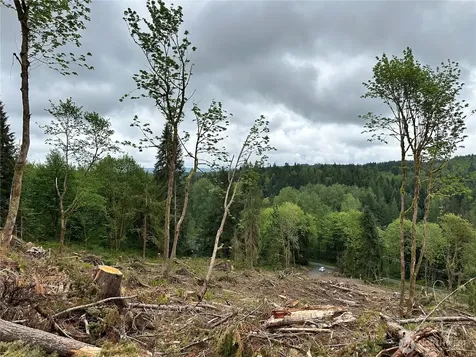0 S Carpenter Road Snohomish WA 98280