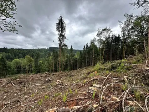 0 S Carpenter Road Snohomish WA 98280