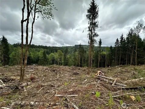 0 S Carpenter Road Snohomish WA 98280