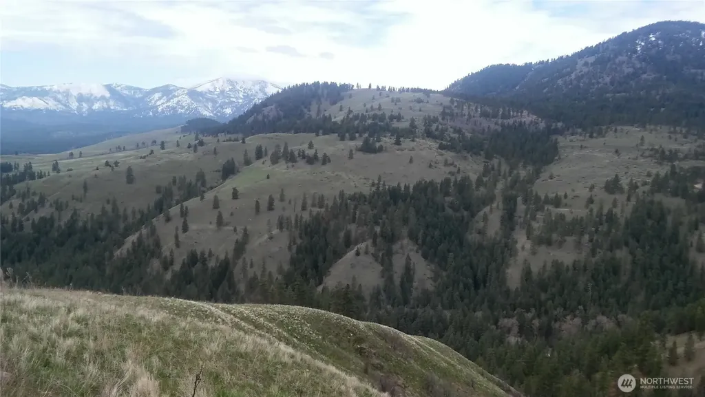 0 Tbd N Fork Salmon Creek Road Conconully WA 98819