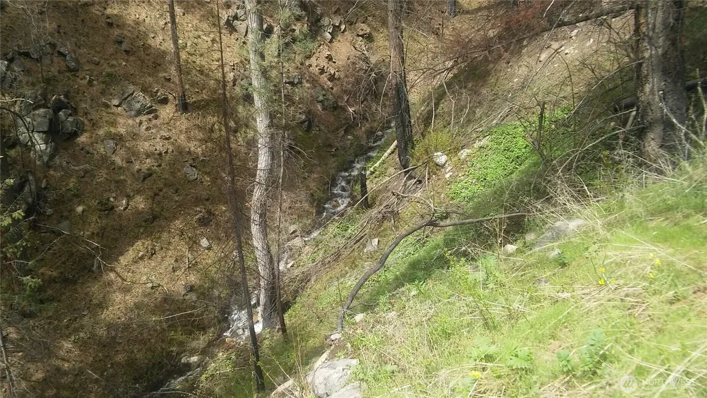 0 Tbd N Fork Salmon Creek Road Conconully WA 98819