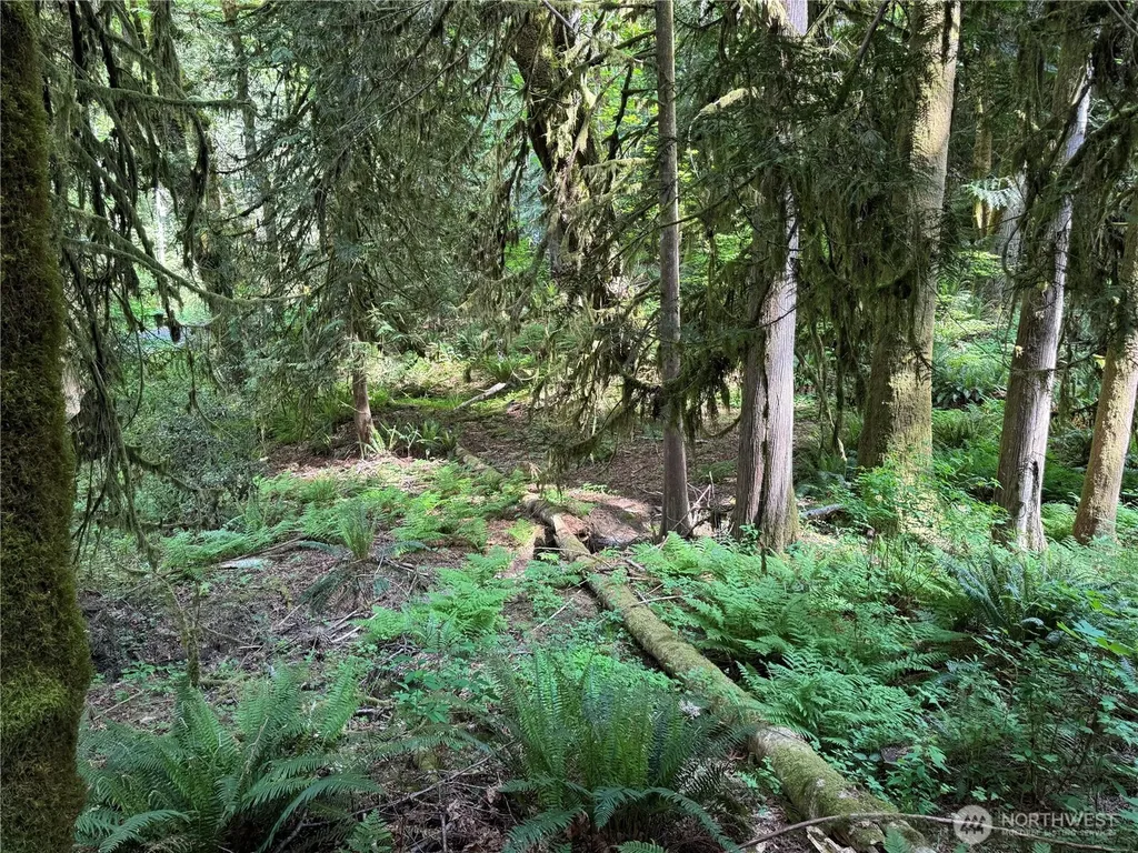 1111 Mountain Trail Road Brinnon WA 98320