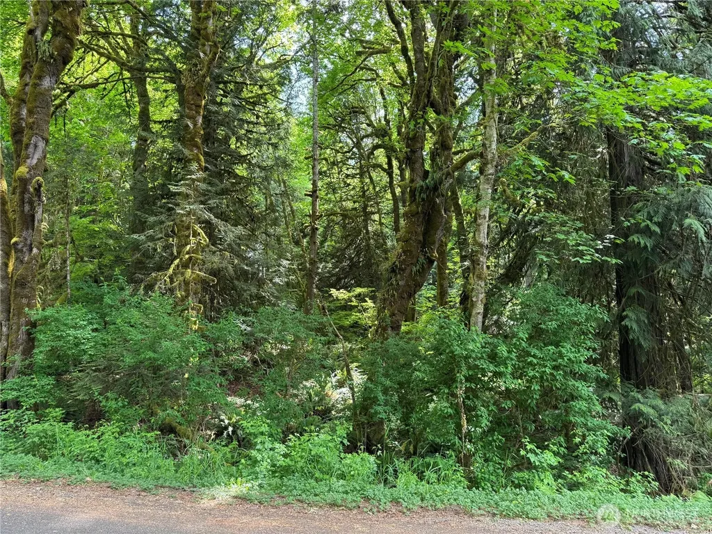 1111 Mountain Trail Road Brinnon WA 98320