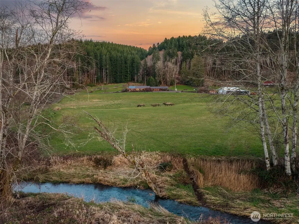 65 Wilderness Road Oakville WA 98568