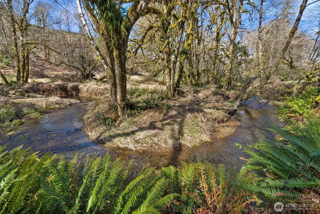 65 Wilderness Road Oakville WA 98568