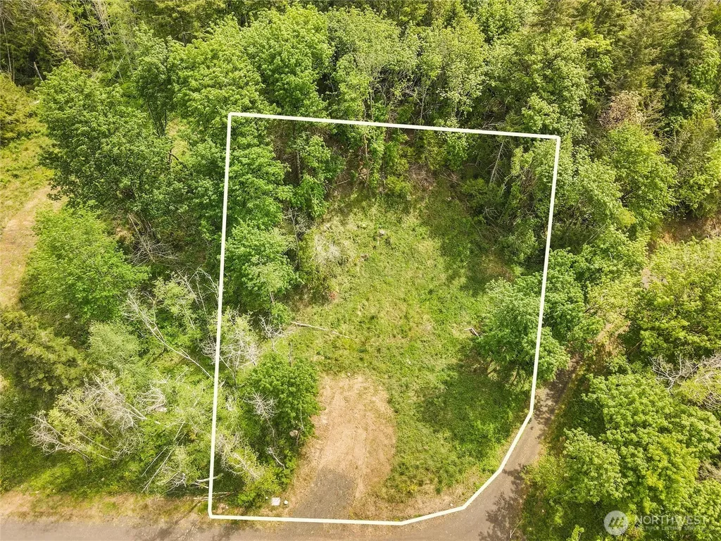171 E Cascara Cove Lane Shelton WA 98584