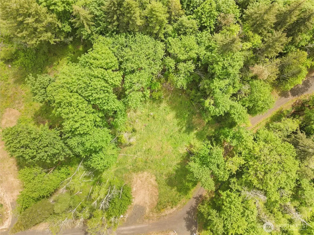 171 E Cascara Cove Lane Shelton WA 98584