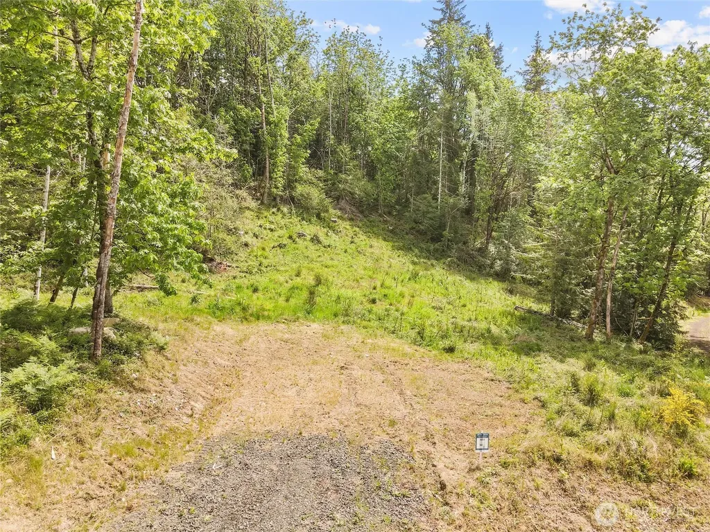 171 E Cascara Cove Lane Shelton WA 98584