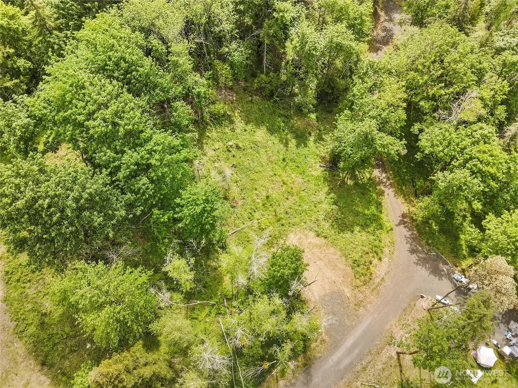 171 E Cascara Cove Lane Shelton WA 98584