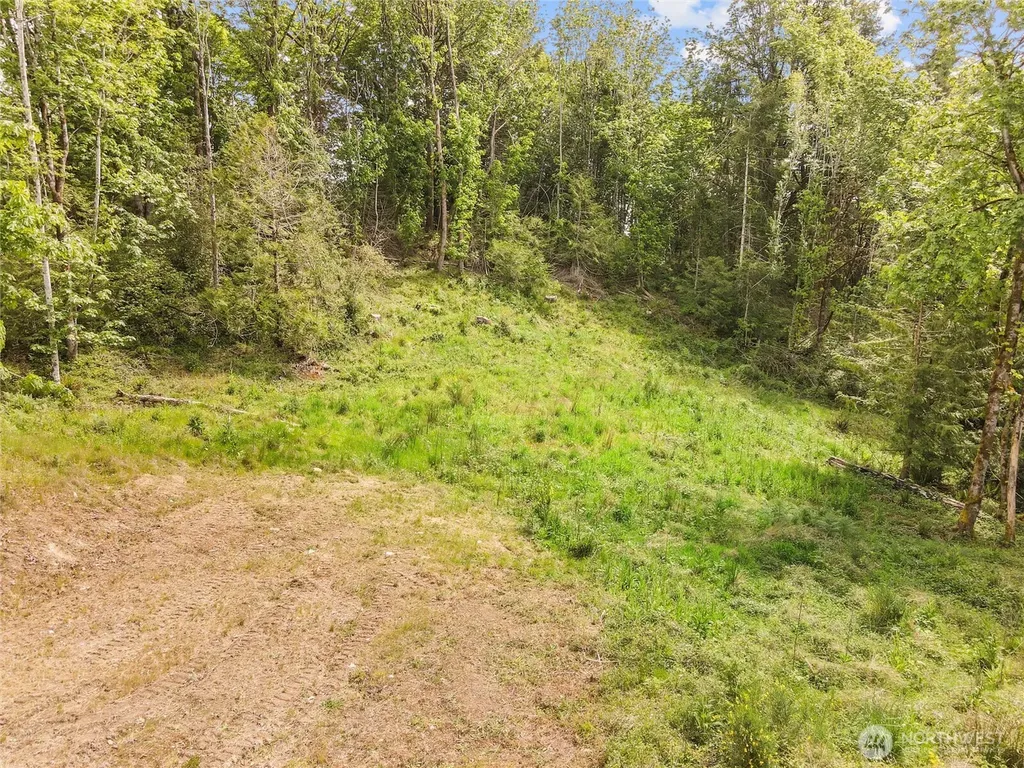 171 E Cascara Cove Lane Shelton WA 98584