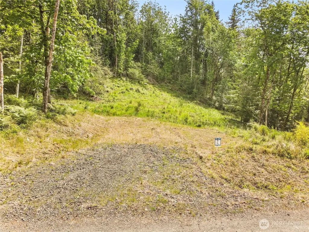 171 E Cascara Cove Lane Shelton WA 98584