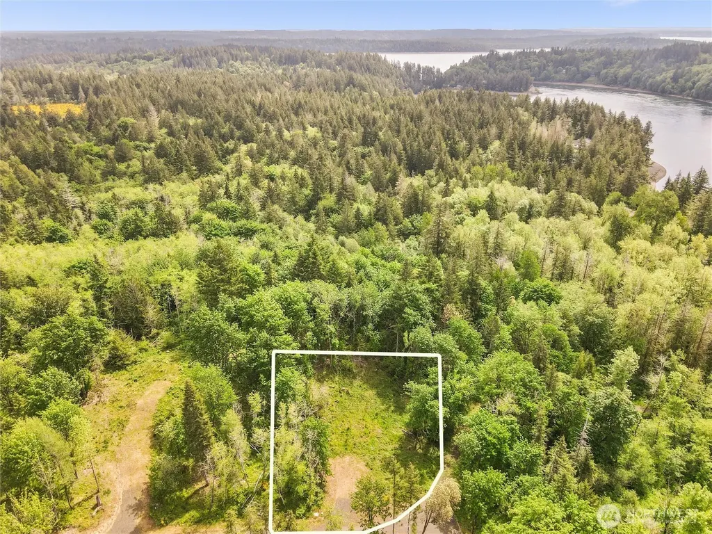 171 E Cascara Cove Lane Shelton WA 98584